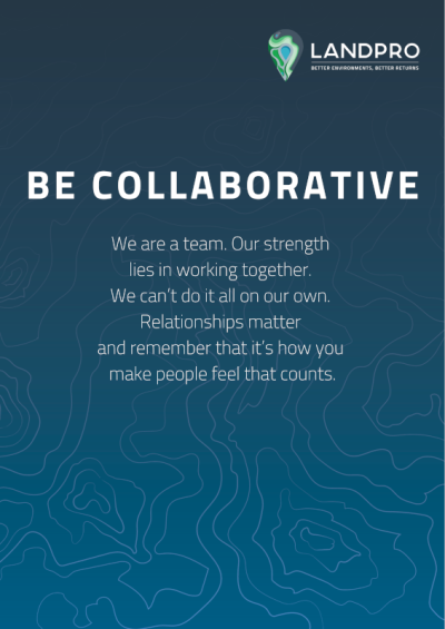Be Collaborative